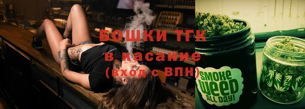 гашик Алексеевка