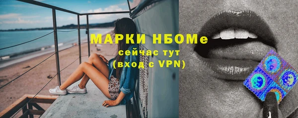 дмт Новокубанск